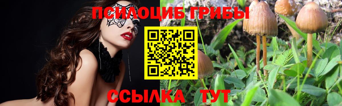 Галлюциногенные грибы прущие грибы  Вход с VPN  Псилоцибиновые грибы GOLDEN TEACHER  Псков 